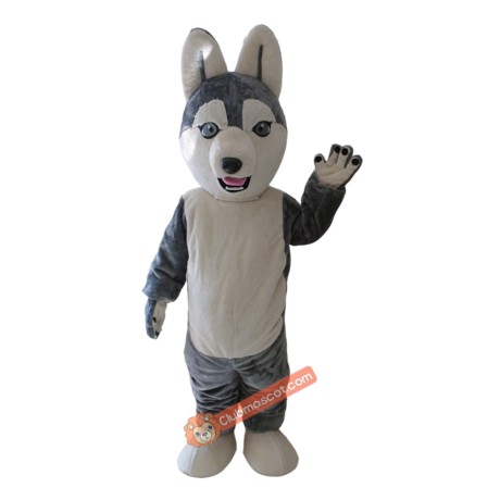 Grey Wolf Siberian Husky Mascot Costume, Grey Wolf Siberian Husky Costume