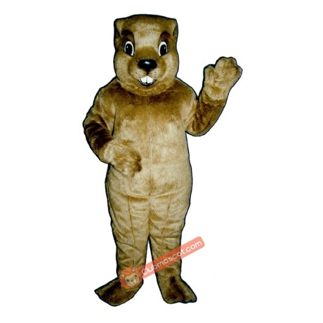 Groundhog Mascot Costume, Groundhog Costume