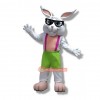 Cute Eyeglasses Rabbit Mascot Costume