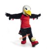 Handsome Charm Eagle Mascot Costume, Handsome Charm Eagle Costume