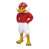 Handsome Falcon Mascot Costume, Handsome Falcon Costume