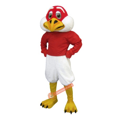 Handsome Falcon Mascot Costume, Handsome Falcon Costume