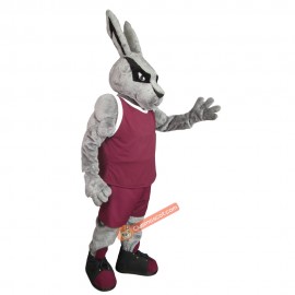 Handsome Power Rabbit Mascot Costume, Handsome Power Rabbit Costume