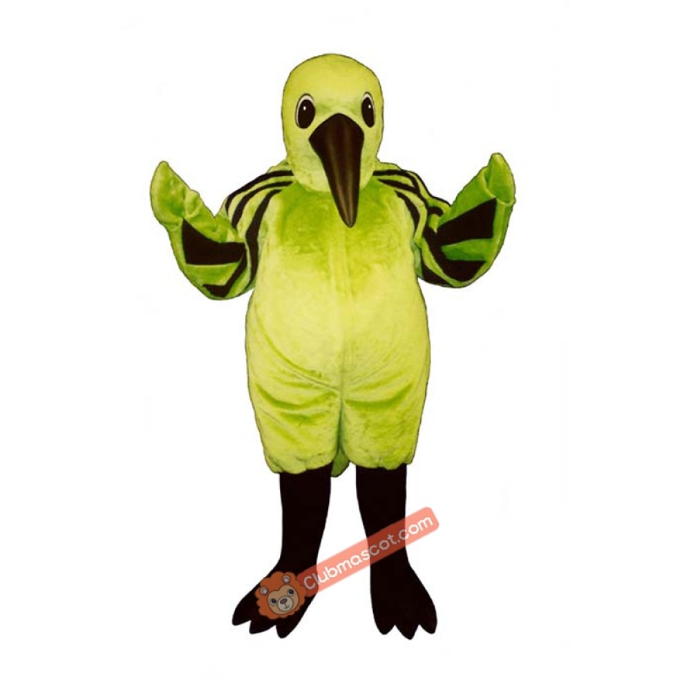 Hummingbird Mascot Costume, Hummingbird Costume