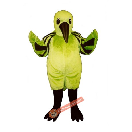 Hummingbird Mascot Costume, Hummingbird Costume