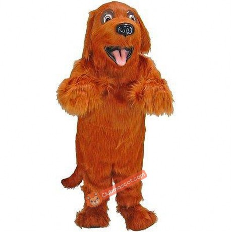 Irish Setter Mascot Costume, Irish Setter Costume