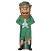 Leprechaun Mascot Costume, Leprechaun Costume