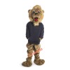 Lion King Mascot Costume, Lion King Costume