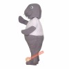 Manatee Mascot Costume, Manatee Costume