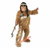 Native American Mascot Costume, Native American Costume