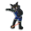 North West Wildcat Mascot Costume, North West Wildcat Costume