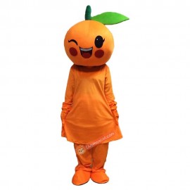 Orange Cartoon Mascot Costume, Orange Cartoon Costume