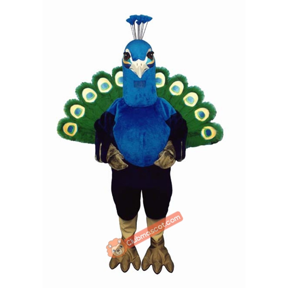 Peacock Mascot Costume, Peacock Costume