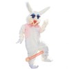 Peter Rabbit Mascot Costume, Peter Rabbit Costume