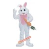 Rabbit Mascot Costume, Rabbit Costume