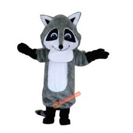 Raccoon Cartoon Mascot Costume, Raccoon Cartoon Costume