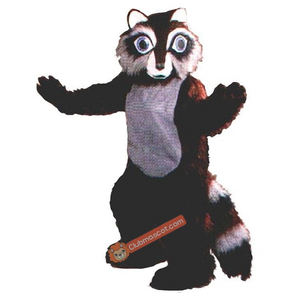 Raccoon Mascot Costume, Raccoon Costume