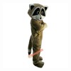 Racoon Wildcat Cartoon Mascot Costume, Racoon Wildcat Cartoon Costume