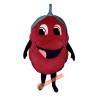 Raspberry (Bodysuit not included) Mascot Costume, Raspberry (Bodysuit not included) Costume