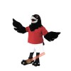 Raven Mascot Costume, Raven Costume