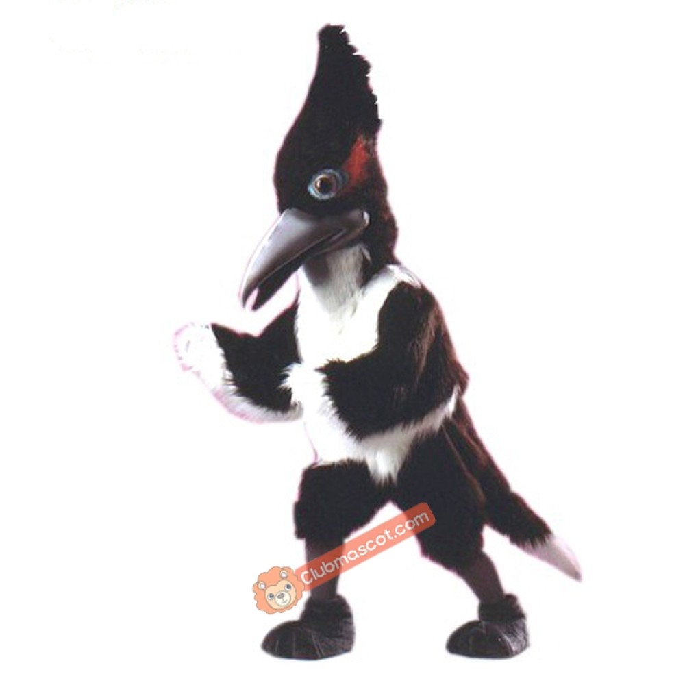 Roadrunner Mascot Costume, Roadrunner Costume