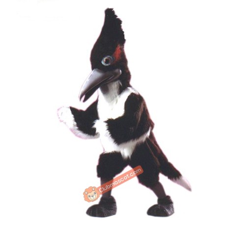 Roadrunner Mascot Costume, Roadrunner Costume