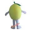 Fruit Grapefruit Mascot Costume, Fruit Grapefruit Costume