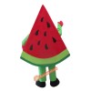 Fruit Watermelon Mascot Costume, Fruit Watermelon Costume