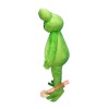 Green Frog Custom Mascot Costume, Green Frog Custom Costume