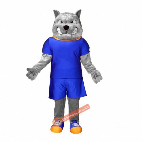 School Dog Mascot Costume, School Dog Costume