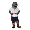 Sea Lion Seal Walrus Cartoon Mascot Costume, Sea Lion Seal Walrus Cartoon Costume