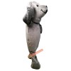 Sea Lions, Walrus Mascot Costume, Sea Lions, Walrus Costume