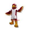 College Falcon Mascot Costume