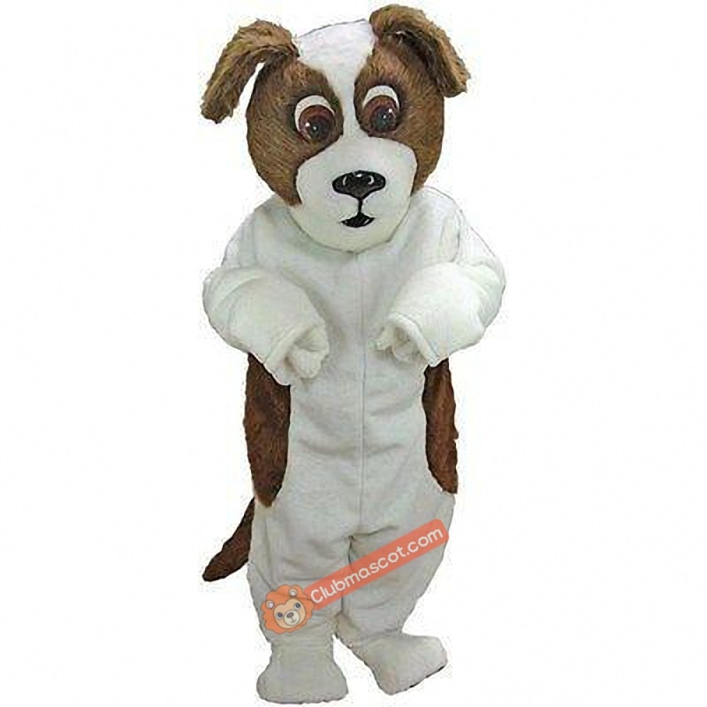 St. Bernard Mascot Costume, St. Bernard Costume