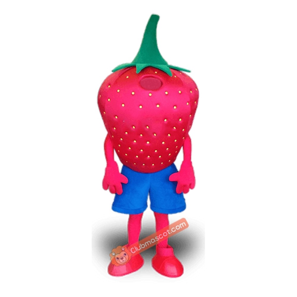 Strawberry Character Mascot Costume, Strawberry Character Costume