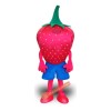 Strawberry Character Mascot Costume, Strawberry Character Costume