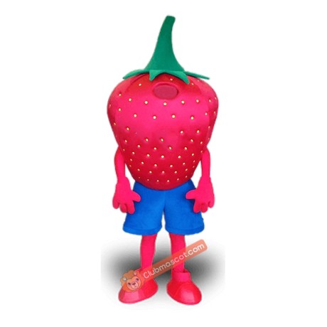 Strawberry Character Mascot Costume, Strawberry Character Costume