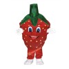 Strawberry Mascot Costume, Strawberry Costume