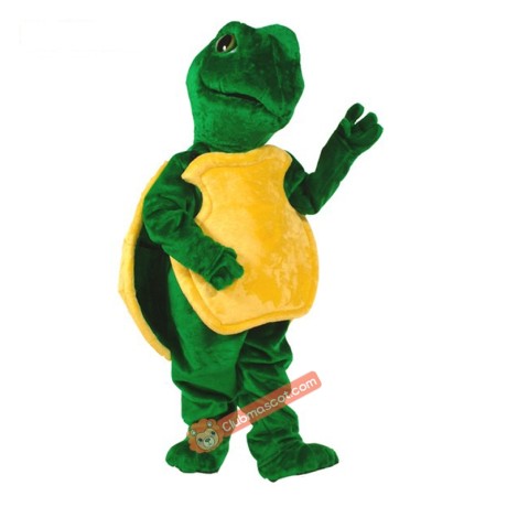 Turtle Mascot Costume, Turtle Costume