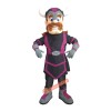 Viking Mascot Costume, Viking Costume