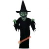 Witch Mascot Costume, Witch Costume