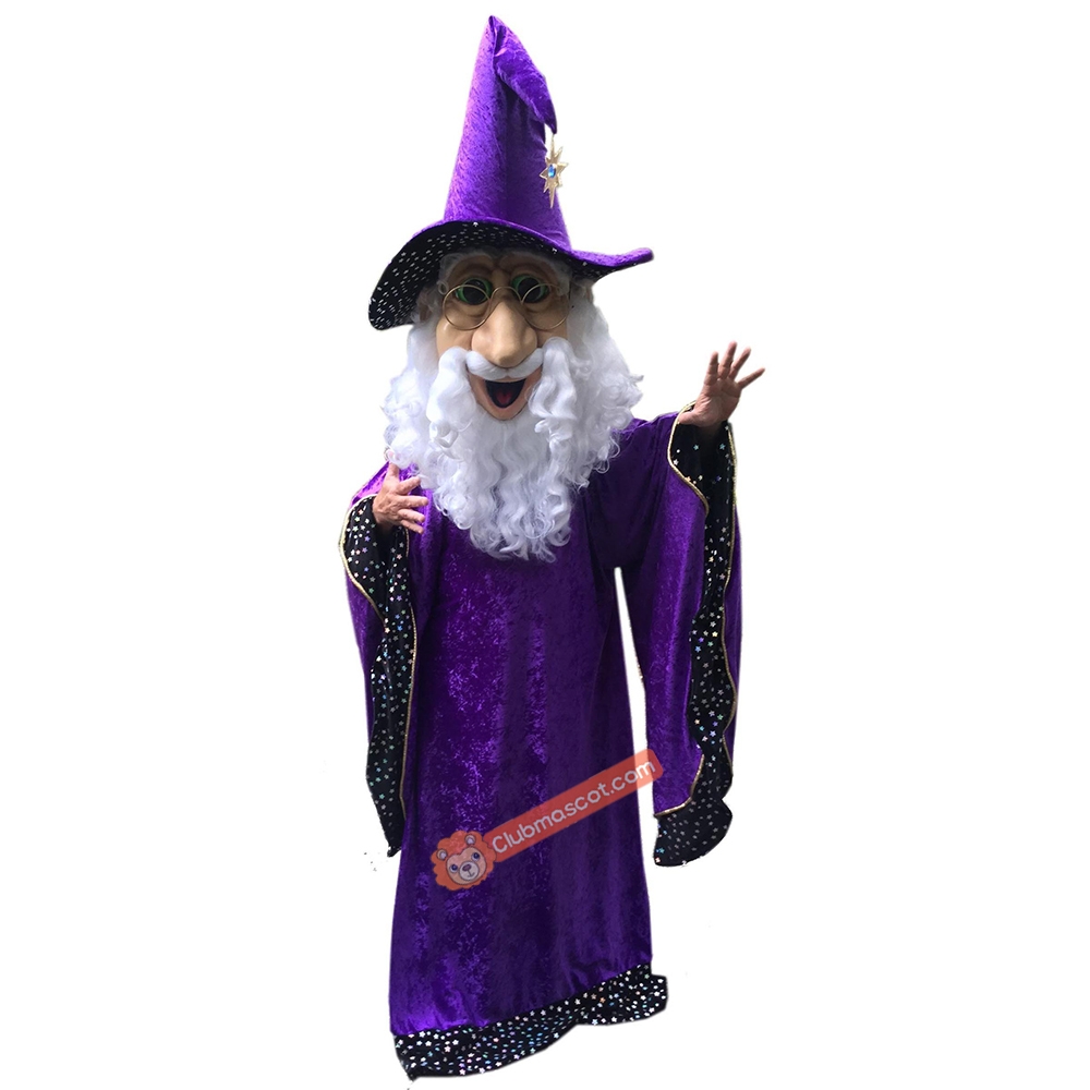 Wizard Mascot Costume, Wizard Costume