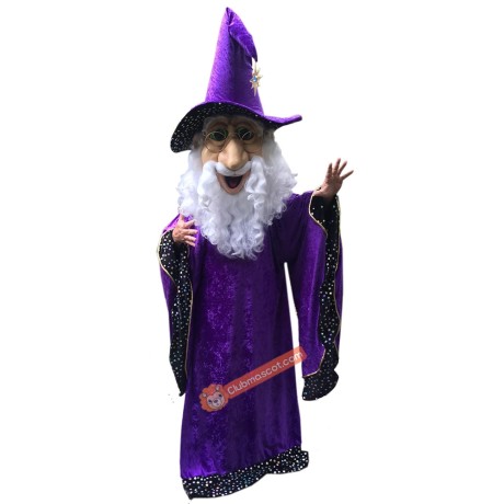 Wizard Mascot Costume, Wizard Costume