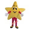 Yellow Five-Pointed Star Cartoon Mascot Costume, Yellow Five-Pointed Star Cartoon Costume